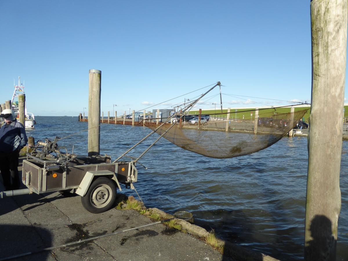 Ferienwohnungen Im Osterkoog Nordstrand Eksteriør billede